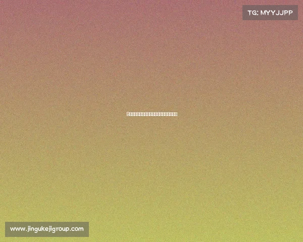 B级赛事深度解析定义特点与行业重要性探讨